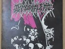 IMMORTAL FATE - FACELESS BURIAL 7