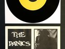 THE PANICS Little Red Book/Kill It TEST PRESSING 1979 ORIG 7
