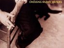 John Hiatt : Crossing Muddy Waters VINYL 12