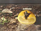 FRANCO BATTIATO - pollution LP
