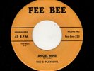 PGH., PA. WHITE DOOWOP-5 PLAYBOYS-ANGEL MINE/SHE'S MY BABY-FEE BEE 232