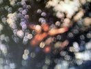 PINK FLOYD  OBSCURED BY CLOUDS  FRANCE LP   NEAR MINT