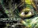 Pendulum-Hold Your Colour (2018 Edition VINYL NEW