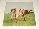 Pink Floyd - LP - Atom Heart Mother - UK 1970 - HARVEST SHVL 781 - 1ST PRESS