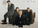 LP: The Cranberries - No Need To Argue, Limited GOLD Vinyl, NEU & OVP
