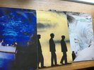 3VINYL LP`S X ECHO AND THE BUNNYMEN OCEAN RAIN ,PORCUPINE AND SINGLES 