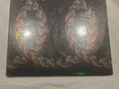 Tool ?– Lateralus Limited Edition Double Album Alex Grey Picture Disc Vinyl