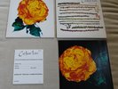 Cocteau Twins Twinlights Rare Double 7