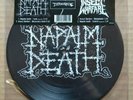 Napalm Death / Insect Warfare Split picture disc record store day grindcore