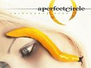 A PERFECT CIRCLE - THIRTEENTH STEP *NEW DOUBLE 180 gram RECORD LP VINYL