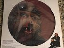 Warren Zevon : Werewolves of London  12