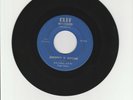 Bob Cathey and the Night Riders ?– Johnny B.Goode / Welcome to my World 45 RPM