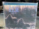 REM / Murmur