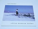 PINBACK - BLUE SCREEN LIFE Black Vinyl 2x LP RECORD * * Ace Fu Records 2001