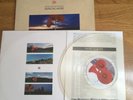 DEPECHE MODE..MUSIC FOR THE MASSES...RARE UK  ISSUE CLEAR VINYL ALBUM.STUMM 47