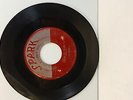 The Robins Riot in Cell Block #9 Wrap It Up Spark Records 45X103 7