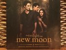 Twilight Saga New Moon Original Motion Picture Soundtrack Double LP Vinyl Record