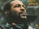 Marvin Gaye | What's Going On | 180G Vinyl LP | Gatefold Sleeve | Inc D/Load