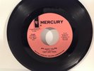 Tony & Terry - I Want You / Take Me Now - Mercury 1965 Garage Psych Promo 45