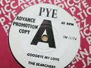 THE SEARCHERS Goodbye My Love / Till I Met You UK 7