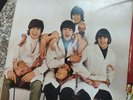 THE BEATLES RARITIES Odeon EAS-81325 RECORD import JAPAN Butcher Vinyl LP insert
