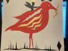 Noel Gallagher High Flying Birds In 3D