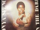 SONYA SPENCE - IN THE DARK VINYL LP REGGAE