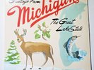 Sufjan Stevens - Michigan - 2X LP Vinyl Record  Vinyl & Cover  Mint Condition