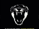 Against Me  New Wave vinyl LP yellow/black vinyl punk 12