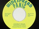 Widespread Panic - Coconut Image 1986 - RARE - VG+ Vinyl 45rpm OG