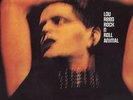 Lou Reed - Rock n Roll Animal , VINILO