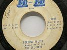 Garage Rock 45 THE DEL-RAYS Fortune Teller / Dimples on R and H Records 1965 mp3