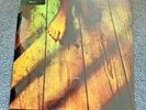 ELIZABETH FRASER Moses 2009 UK Vinyl 12
