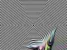 ONEOHTRIX POINT NEVER ?– MAGIC ONEOHTRIX POINT NEVER LIMITED EDITION TRANSPA