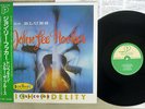 JOHN LEE HOOKER THE BLUES P-VINE PLP-393 Japan OBI MONO VINYL LP
