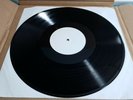 DAVID SYLVIAN - BLEMISH LP WHITE LABEL TEST PRESS RARE AMBIENT/ELECTRONICA MINT-