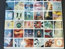 Pearl Jam  No Code  VINYL SEALED