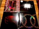 Tool?Aenima?Picture Disc 2LP?Opiate?Undertow?Lateralus?Salival?Vinyl