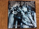 Cradle of Filth The Principle of Evil Made Flesh 12