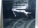 BILL EVANS JIM HALL Undercurrent VINYL LP Sealed Mobile Fidelity MOFI Numbered