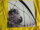 Vs. [Remastered] by Pearl Jam (Vinyl, May-2011, 2 Discs, Epic)