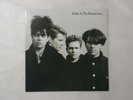Echo & The Bunnymen  WEA P-13548 Japan  VINYL LP