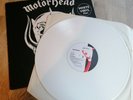 Motorhead LP Same 1st LP WHITE VINYL UK Chiswick 1st Press INCREDIBLE VINYL $$