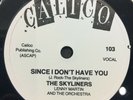REPRO 78 - SINCE I DON'T HAVE YOU - THE SKYLINERS - ROCK N' ROLL GREATEST HITS 2