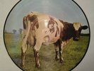 Pink Floyd 'Atom Heart Mother'  Rare  Vinyl Record Picture Disc