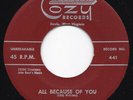 Lonesome WV Hillbilly Bop ECHO VALLEY RANGERS All Because of You 45 Cozy HEAR