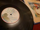 Vintage 1970 Cat Stevens Tea For The Tillerman Vinyl.  First Pressing. Island.