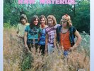 LP Raw Material - Raw Material   Deutsche VOGUE LDVS 17236    M - / VG++  1971