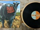 Blink 182 - Dude Ranch *VINYL* /500 180-gram Mightier Than Sword 1st press