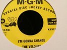 Northern Soul Im Gonna Change/ What More Do You Want.  The Velours/Gene Toones